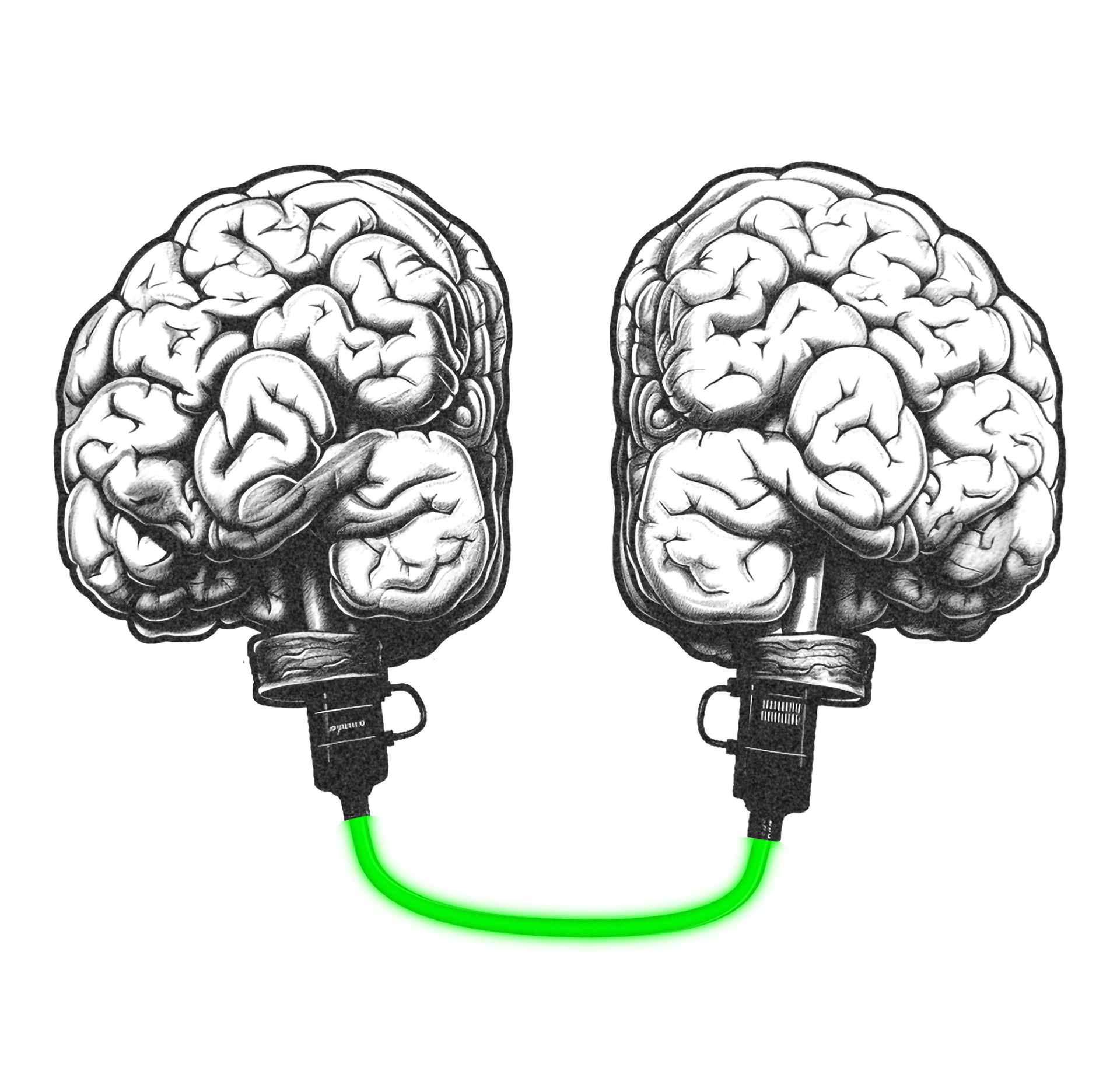 Eine Zeichnung von zwei Gehirnhälften, die mit einem dicken Datenkabel miteinander verbunden sind.